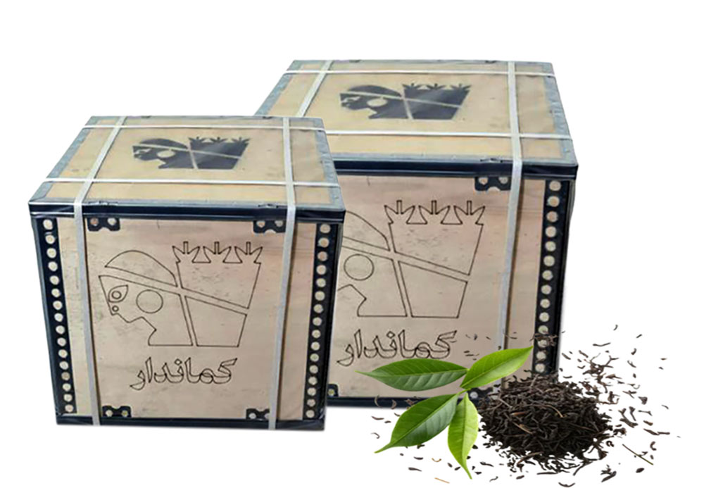 IMG_20251208_145746_25566